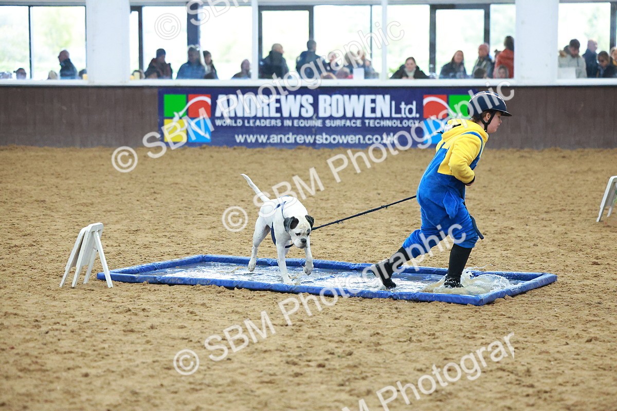 SBM_002299 - Class 3 - Horse & Hound (60cm)