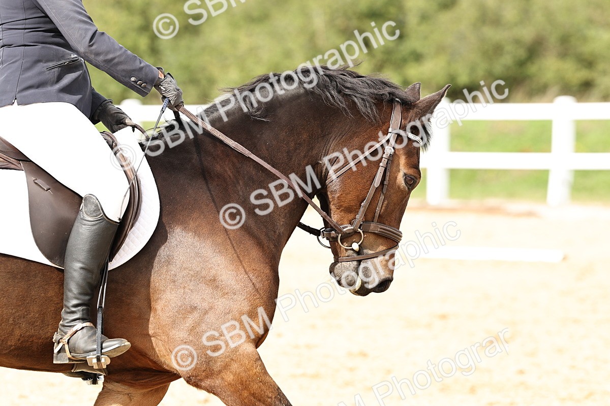 SBM_004904 - Class 70 - Elementary 2