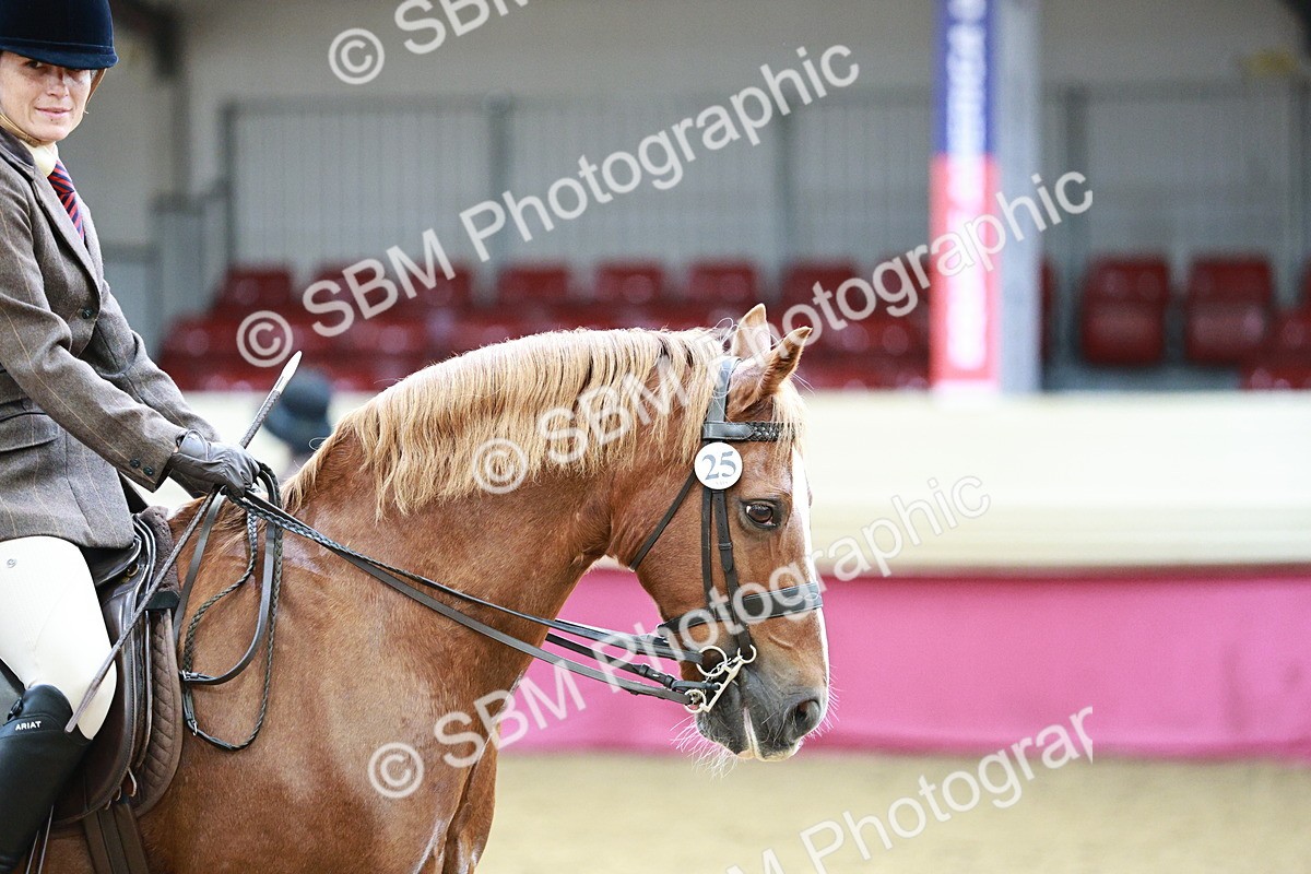 SBM_02230 - Class 4A - Area Ridden Diamond