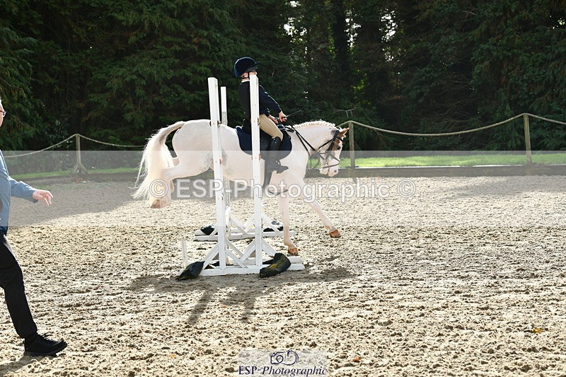 251004A-105634-00474 - Classes 4 & 5 50cm