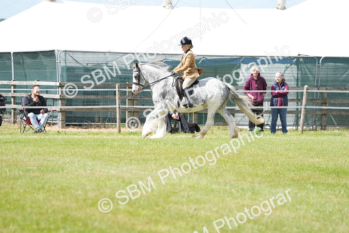 SBM_17261 - Class 107-108 - LIHS BSPS Performance Coloured Horse Pony