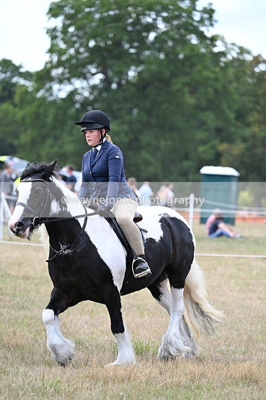 WJ7_5371 - Class 12 Ridden Cob