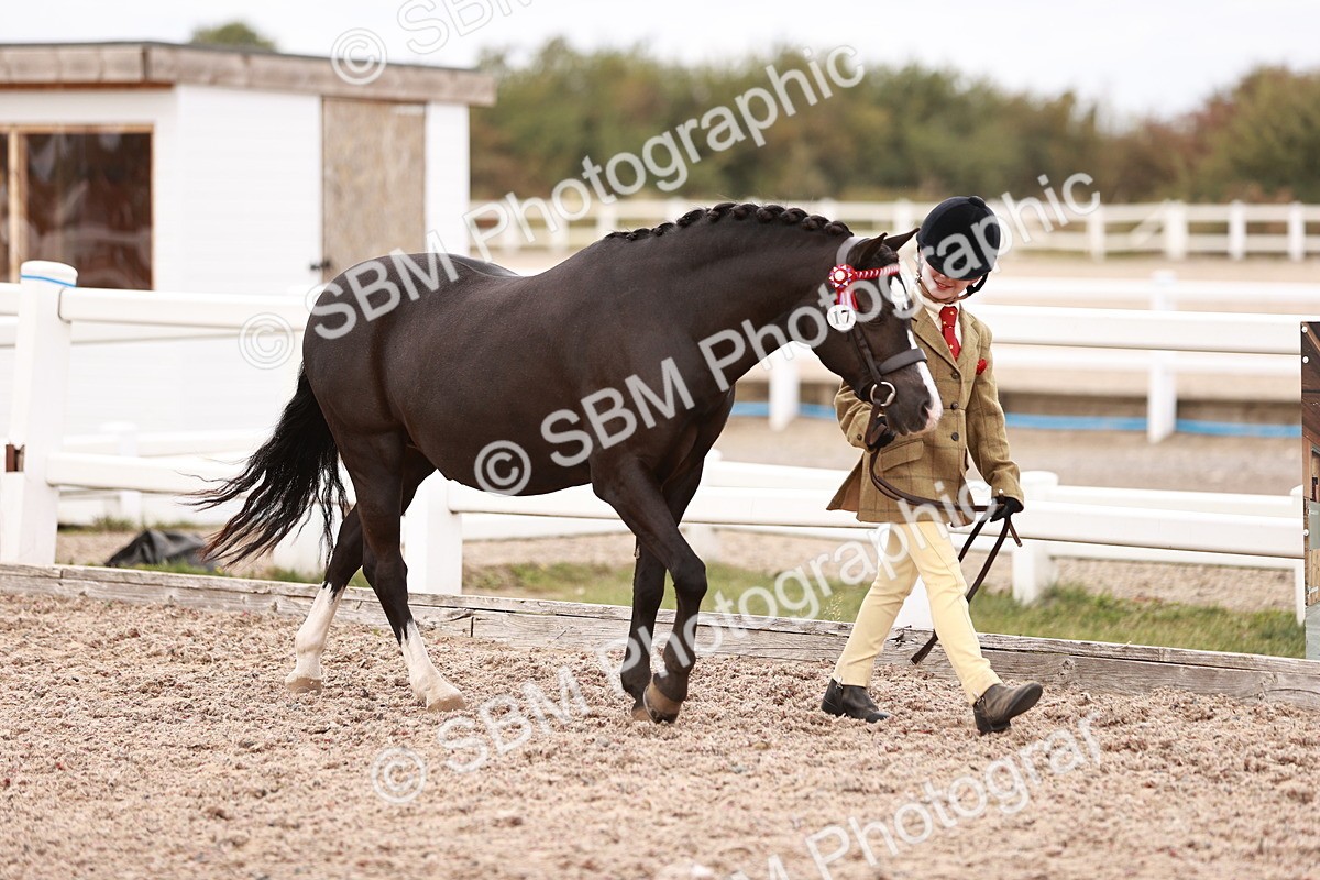 SBM_18542 - Class 421 - Childs Best Friend - Jnr
