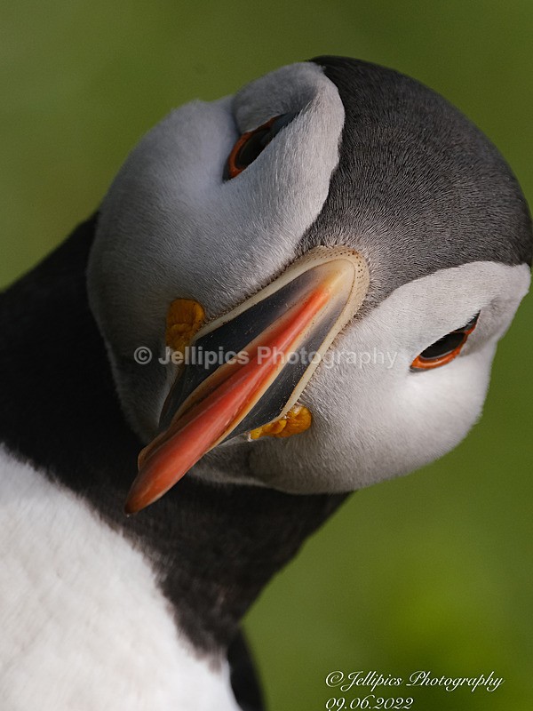  - Wildlife and Nature