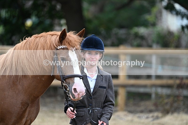 WJ7_8218 - Class 4 Prettiest Mare up to 14.2hh