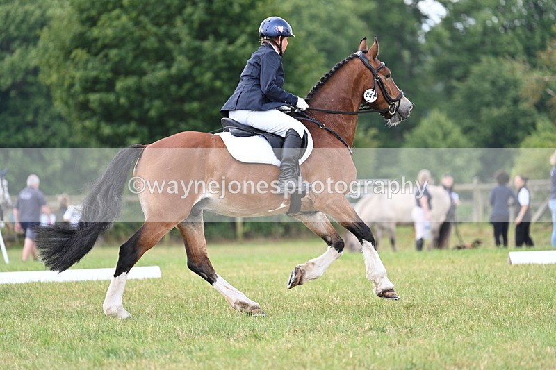 WJ7_4639 - Time 10:59 to 11:17