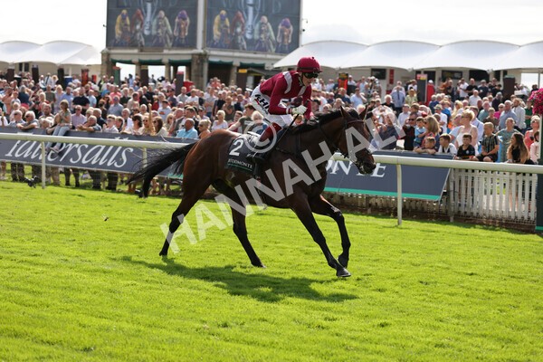 yr18082021r4-80 - Race 4 3.35pm Juddmonte International Stakes (British Champion Series race)