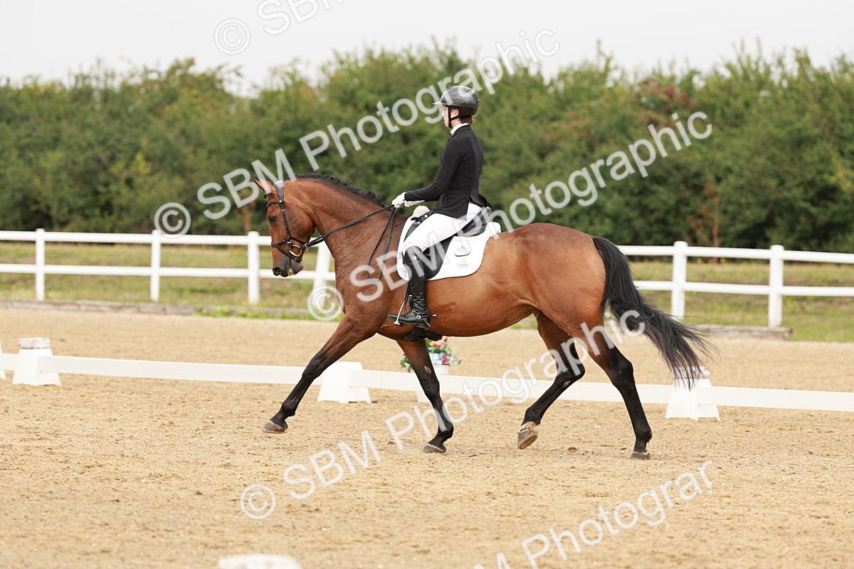 SBM_009379 - Class 12 - Elementary 6 - 10.50-11.50