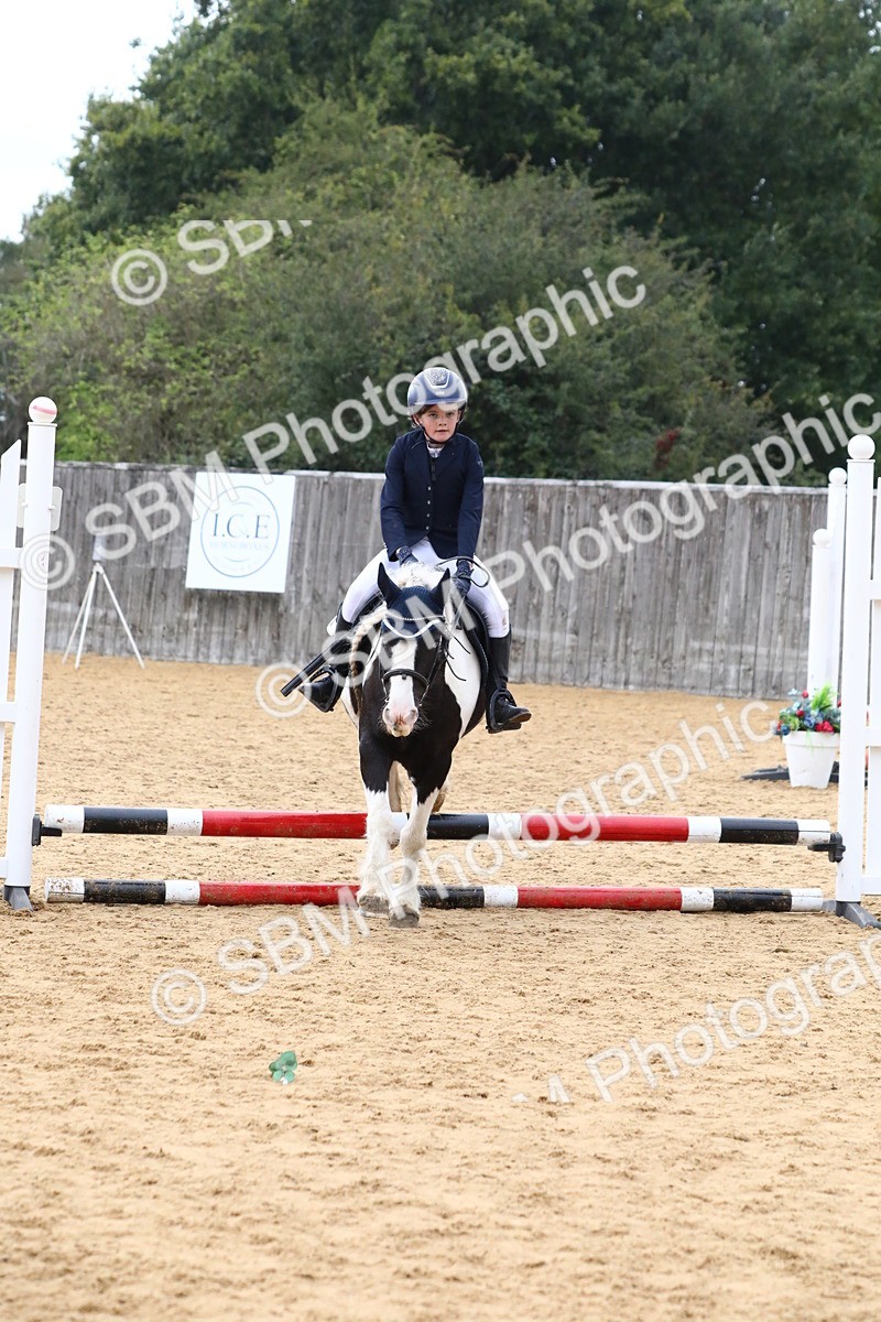 SBM_68208 - J3b - Mini Tour Junior Pony 40cm Championship
