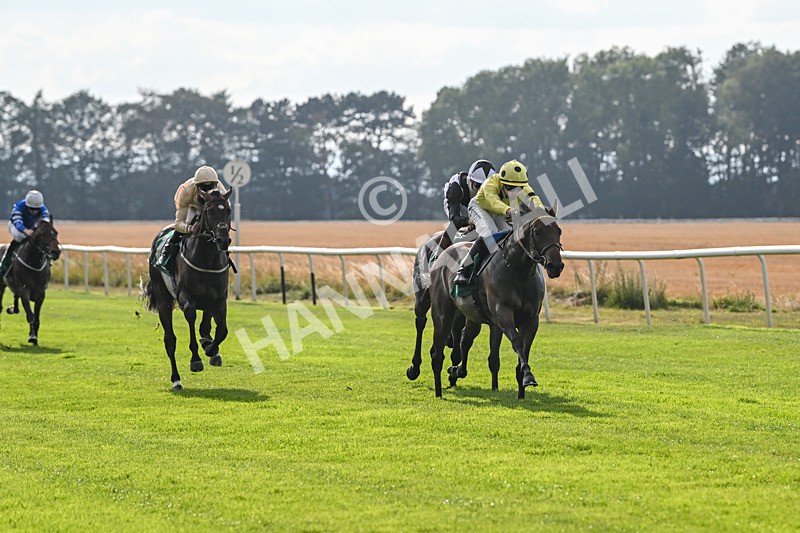 150825-Race 1-Alaminos-2356 - Race 1