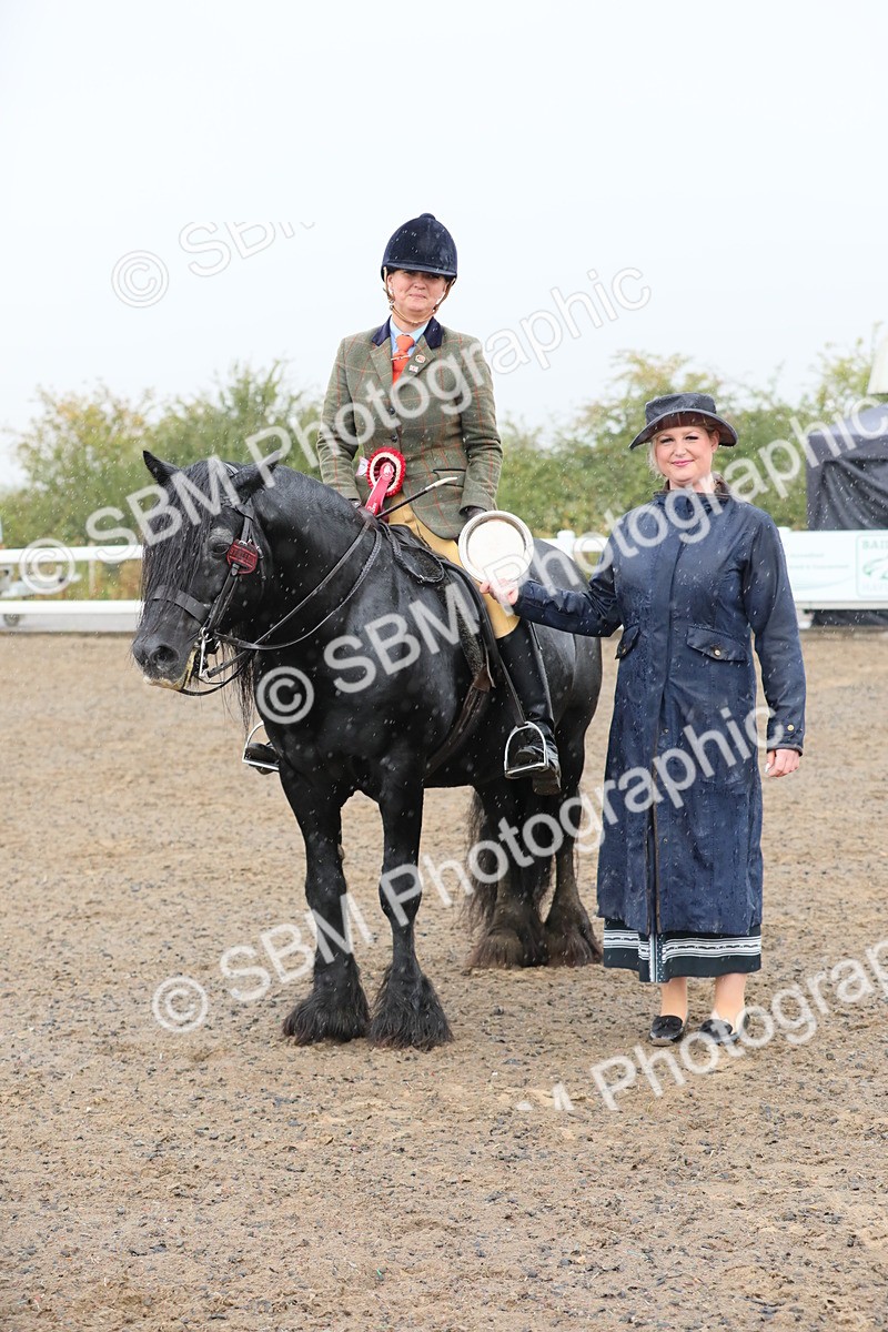 SBM_20624 - Class 804 - Ridden Veteran Pony
