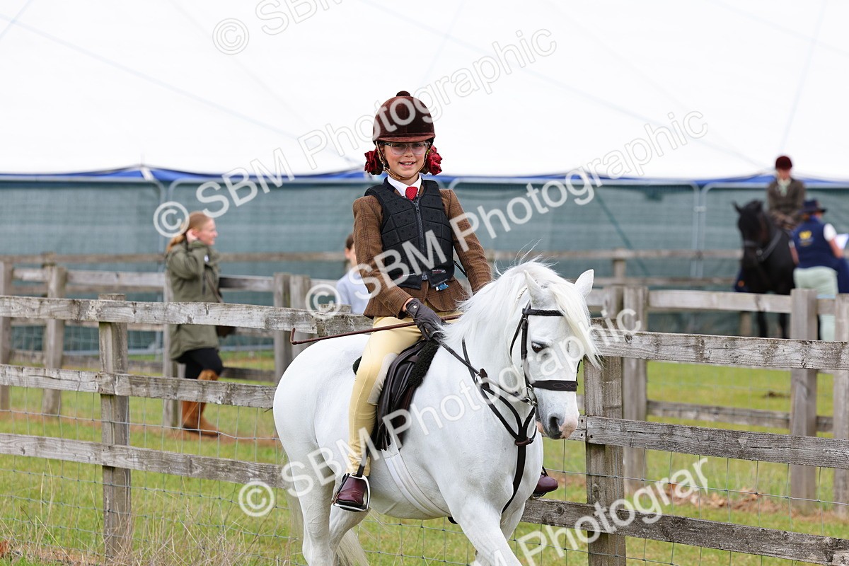 SBM_08466 - Class 42-43 - LIHS BSPS Heritage Working Sports Pony