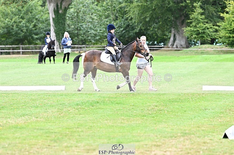 250820A-100544-02462 - Start to 11am