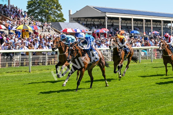 110725-Race 2-Sayidah Dariyan-4111 - Race 2 2.45pm William Hill Summer Stakes