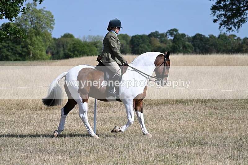 WJ7_2801 - Class 8 Ridden Tack & Turnout