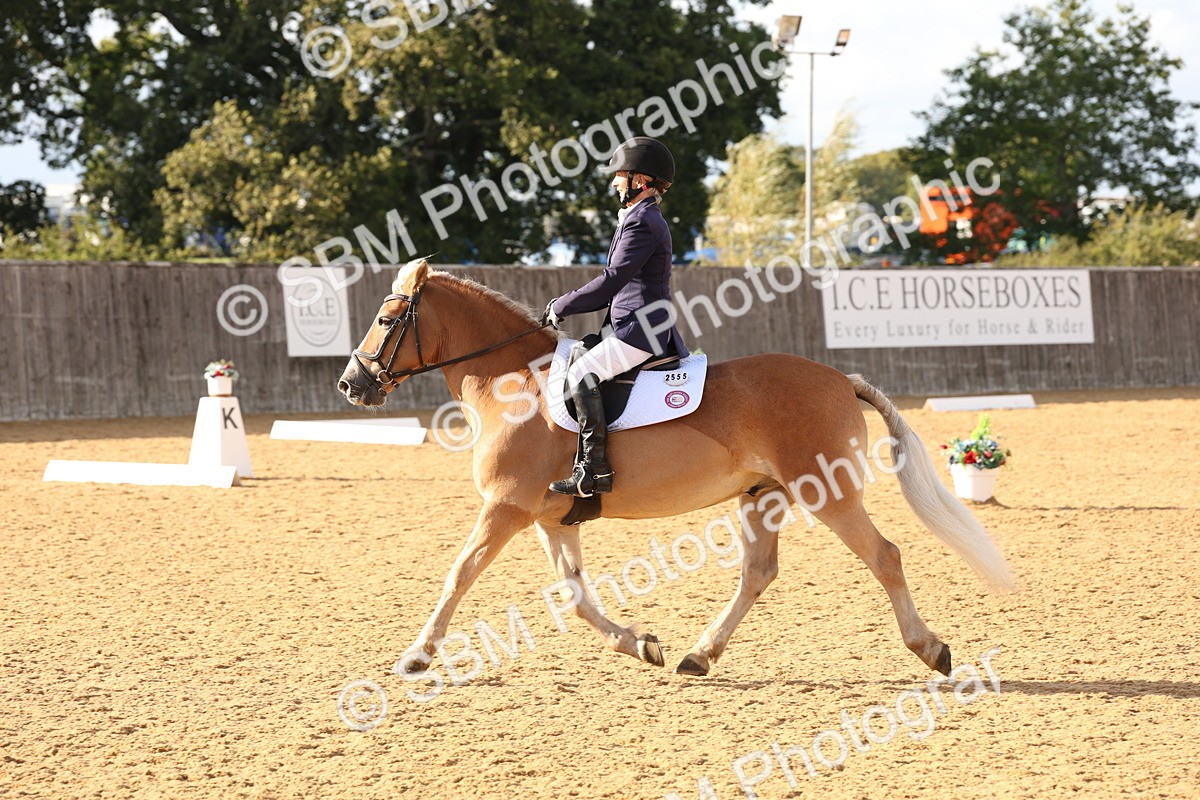 SBM_28207 - D20 - Grand Tour Championship Elementary 3