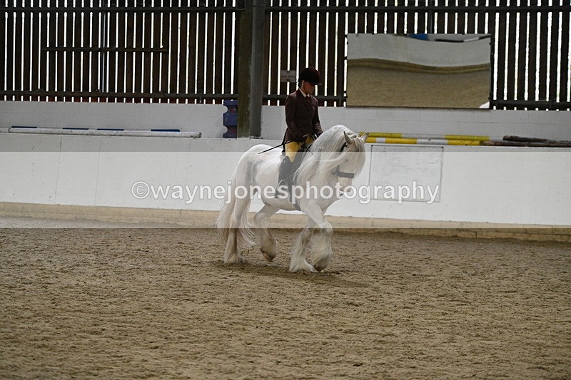 WJ7_3664 - Class 16 Ridden Coloured/ Odd Coloured