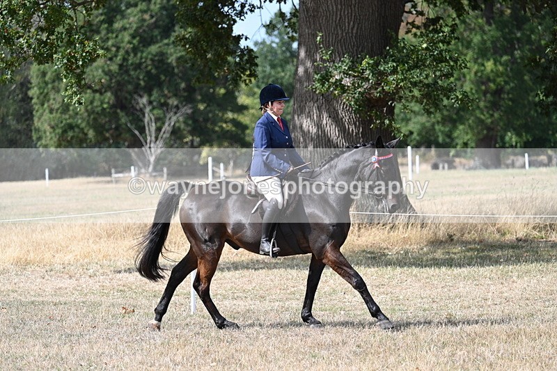 WJ7_6259 - Class 13 Ridden Veterans