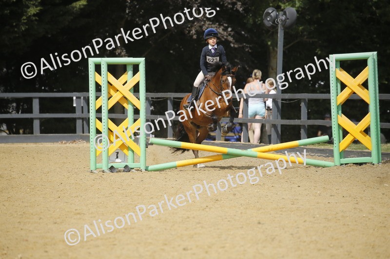 20250622-3862 - 50cm