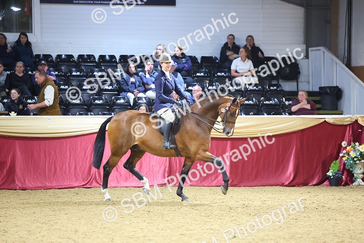 0B8A4457 - Class O Ridden Show Horse Champ