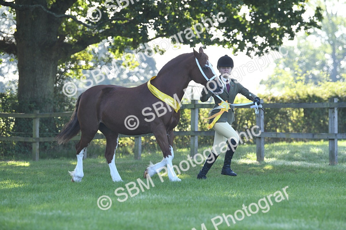 SBM_35553 - Top Turnout Supreme Championship