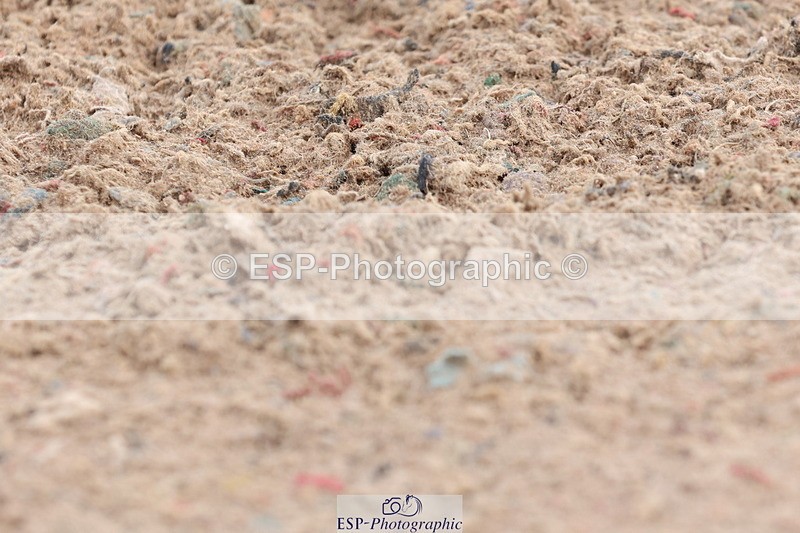 240706A-105602-00667 - Cls 2D Snr Prelim 18 Start to 12 break