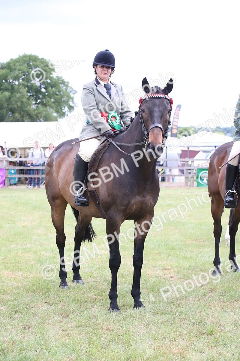 SBM_14245 - Class 113-114 - Retraining of Racehorses Ridden