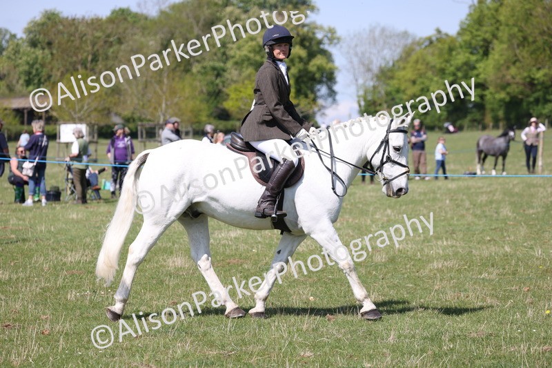 20250427-3178 - Class 33 - Best Pony 14.2hh and Under