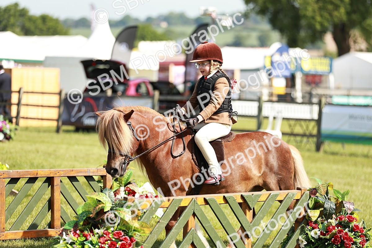 SBM_12764 - Class 106-107 - BSPS LIHS Working Sports Pony
