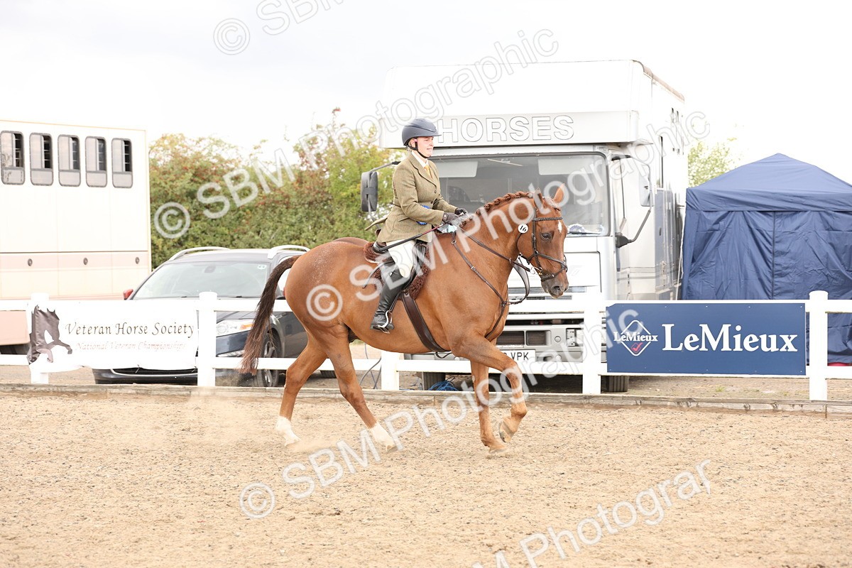 SBM_07525 - Class 59a -  Style & Performance - 80cm (15-19)