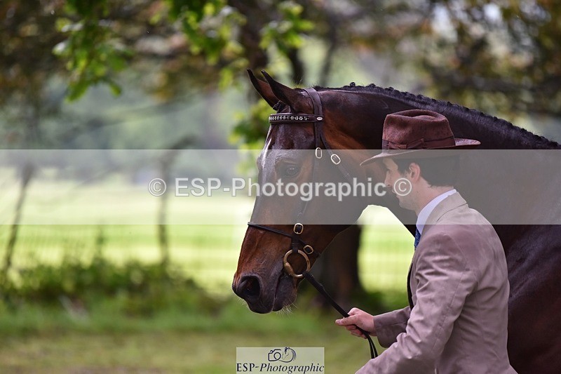 240522-161444-00810 - 162-HAZZLE_DAZZLE-Henry_Hobby