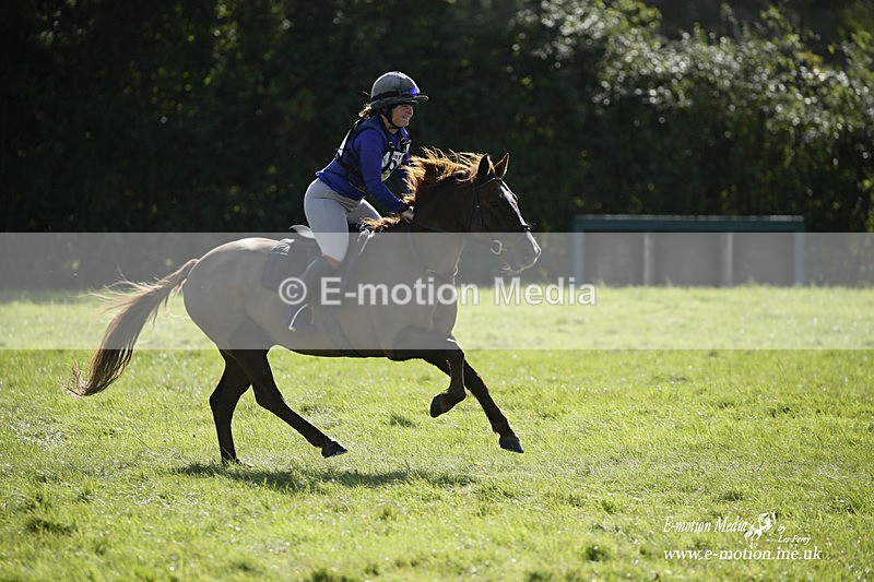  WWHT 031021 1539 - Open Novice (0.80m) 03/10/21