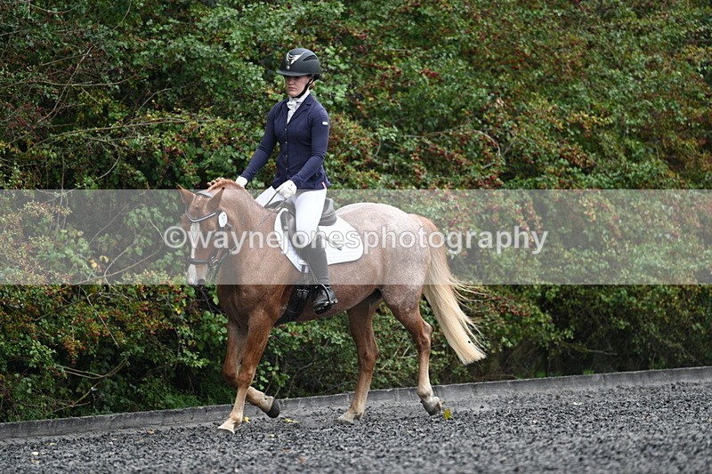 WJ7_3678 - Time 11:04 to 11:38