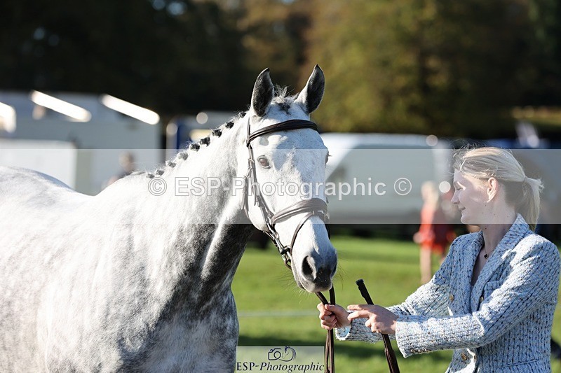 241027-092442-15272 - 306-Alice.Sandiford-THE.GREY.DANCER