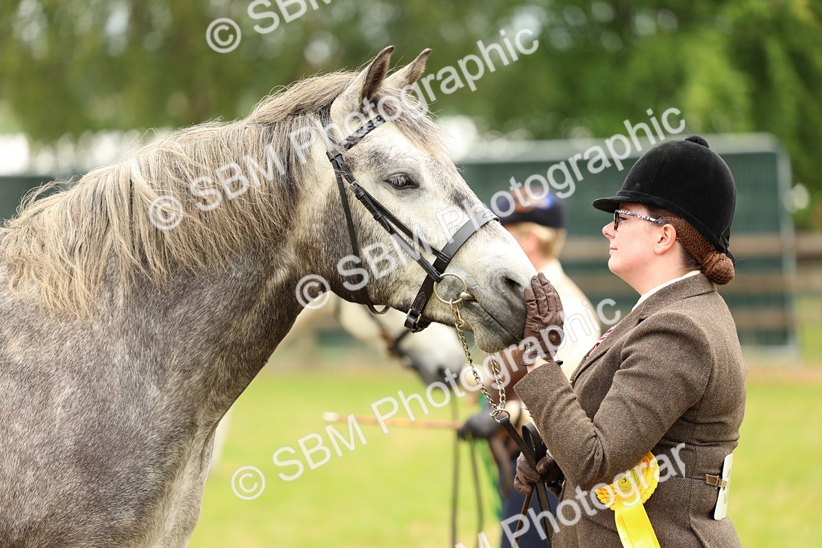 SBM_04112 - Class 64-67 - Shetland Pony In Hand