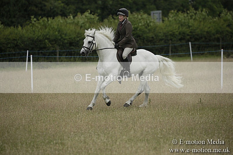 B230619-0110 - Bourne Valley Riding Club Summer Show 23/06/19