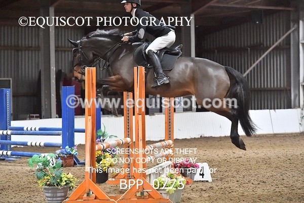 BPP_0775 - CLASS 1 Club/ Unaffiliated 80cms Open