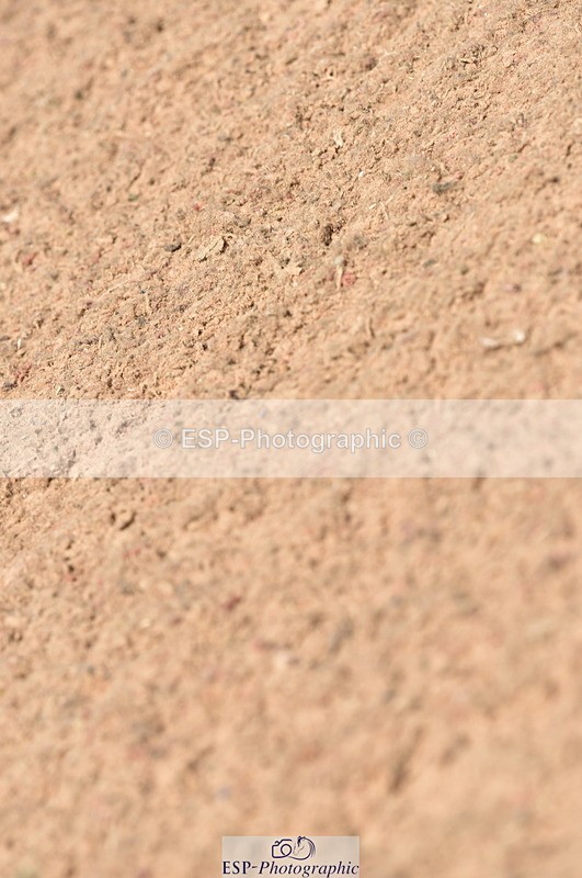 230810A-113324-00897 - Cls 9 Foxhunter