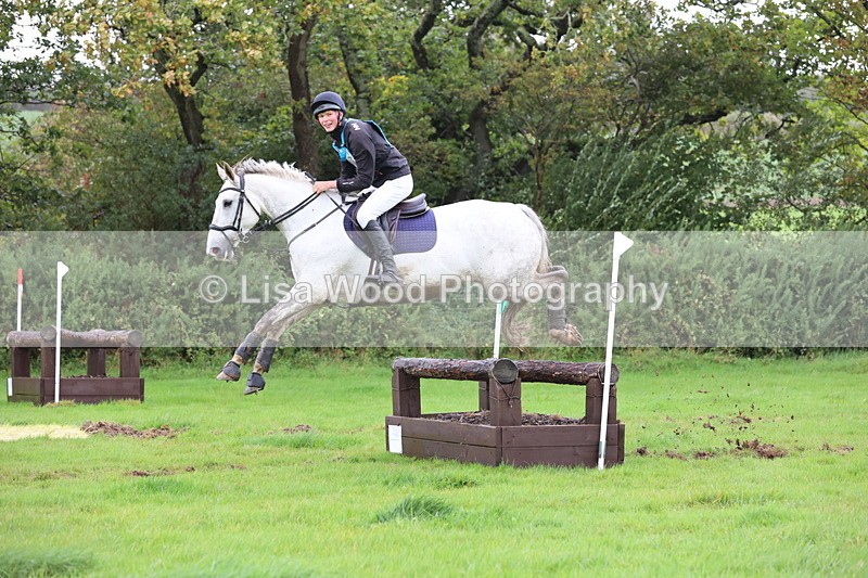 JPP_5474 - Class 5: 90cm Crossed Logs