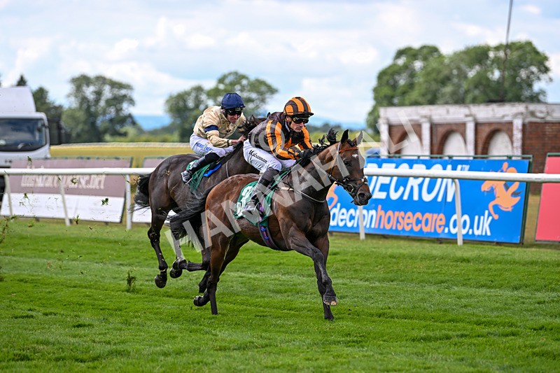 020725-Race 1-Dandy Style-1785 - Race 1