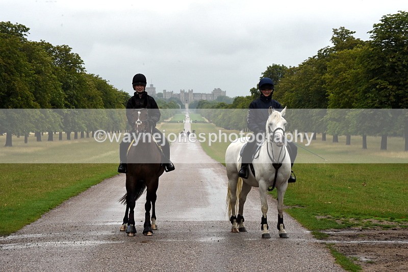 TT3_8190 - Time at Crossing 09:15 to 10:15