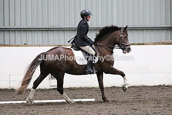 SIAL4667 - CAbin Dressage 5th july 2025
