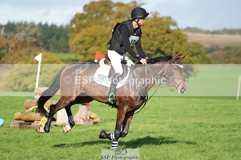 251024A-112123-07212 - A-017-Harrison.Chart