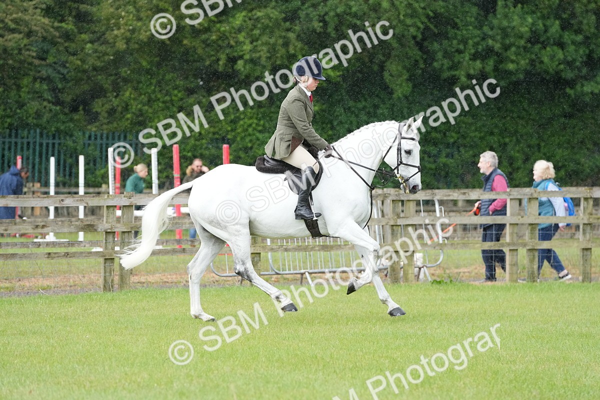 SBM_12663 - Class 97-98 - LIHS BSHA Rising Star Working Show Horse Hunter