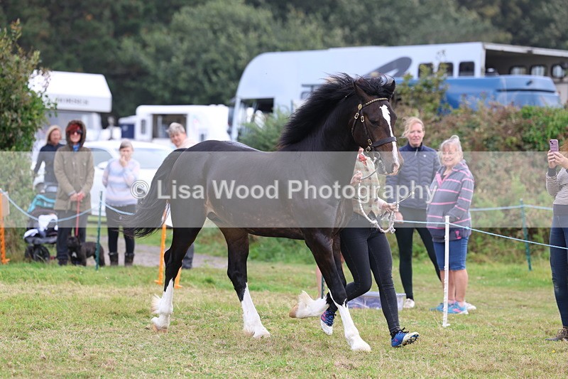 3E7A4138 - Class 15: Two Year Olds