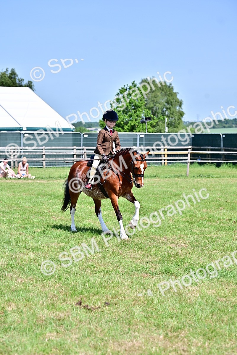SBM_13914 - Class 95-97 - BSPS LHS Performance Ponies