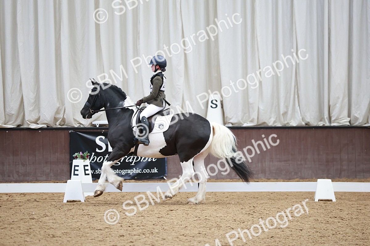 SBM_003876 - Class 2 - Novice 2020