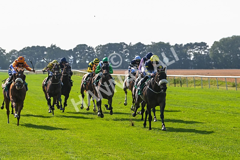 300824-Race 5-Shesashambles-6187 - Race 5