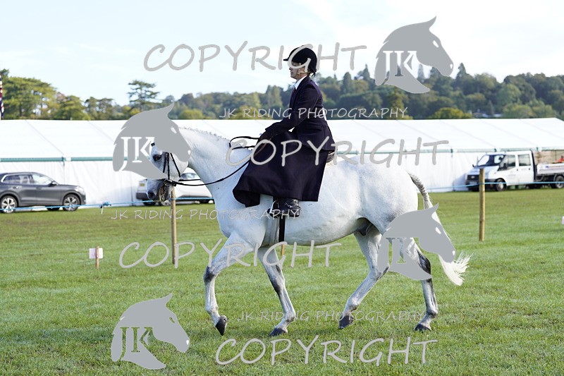 _DSC9362 - Class 8 & 17 Ridden Hunter & Ridden Hunter Pony