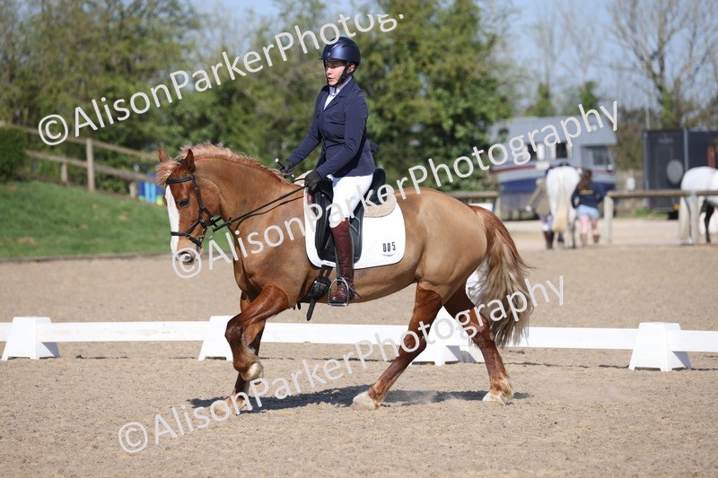 20250405-0273 - Class 11 - My Quest Novice 3